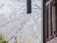 -中国茶叶博物馆(双峰馆区)