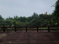 -东寨港红树林旅游区