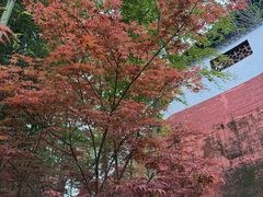 -东坡赤壁风景名胜区