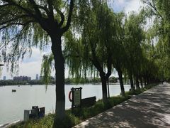 -北陵公园
