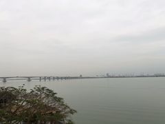 -大湾区中央湿地公园