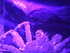 -沈阳海洋探索中心