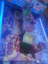 -卡通尼·Safari非洲探索乐园·生日会(金桥国际商业广场店)