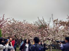 -西安青龙寺遗址景区