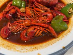 -杨氏青龙虾·羊蝎子(珠江路店)