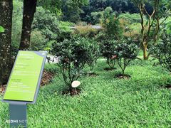 -云溪植物园
