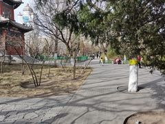 -宣武艺园