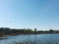 景点-东郊湿地公园