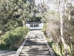 -虎跑公园
