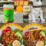 Rolling Dog 翻滚狗狗🐩魔都首家红茶面🍜