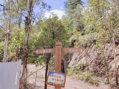 -滴水岩森林公园