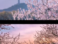 -颐和园