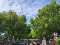 -上海市实验学校