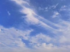 -滆湖低碳生态公园