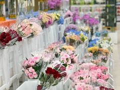 -盒马X会员店(王府井奥莱UP TOWN店)