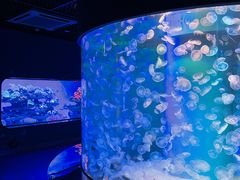 -海合安青岛极地海洋公园