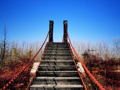 -合肥滨湖国家森林公园