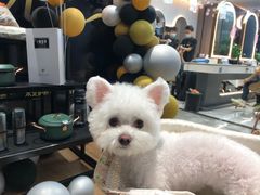 -宠福鑫康馨动物医院·骨科·眼科