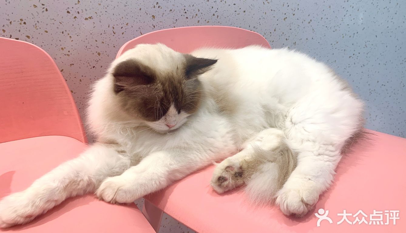 期望有多大，失望就有多大吧！第一次这样的……