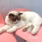 期望有多大，失望就有多大吧！第一次这样的……