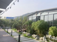 -蘇河湾·新鲁菜·泰山宴(泰山店)