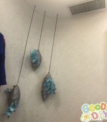 -健身堂科技美肌SPA
