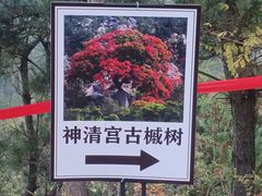 -天隆泉洗浴(幸福店)