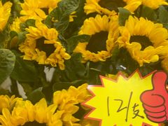 -越秀西湖花市(广州城市广场花卉店)