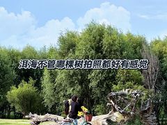 -昆百大泰业城
