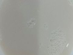 -张明富面皮店(东大街店)