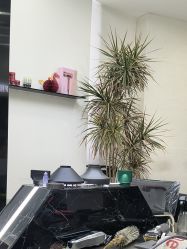 -FINE HAIR 烫染专业设计