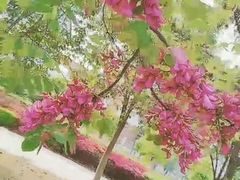 -宿迁学院