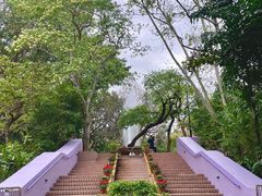 -九龙公园