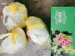 -马陆小张葡萄园农家乐