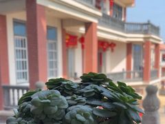 -三姐妹·海鲜大排档
