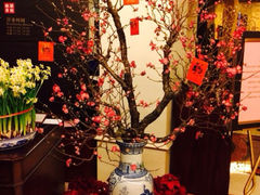 iphone_upload_pic-星湖中餐厅