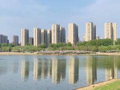 -丁香湖公园