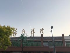 -白洋淀景区