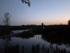 -绿堤公园