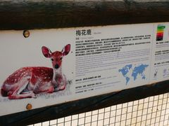 -太原动物园
