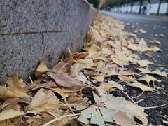 -赭山公园