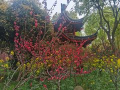 -南汇桃花村