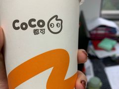 -CoCo都可(江宁托乐嘉店)