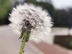 -海淀公园