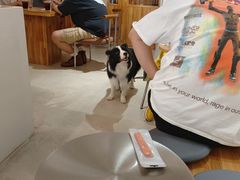 -via coffee(万象城店)