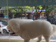 -艾贝尔宠物医院 ·中兽医·宠保定点(北门桥店)