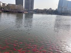 -西海子公园
