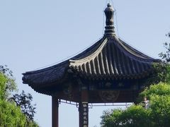 -莲花池公园