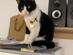 -原田新料理(1912店)