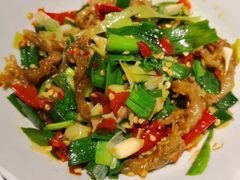 鸭掌筋-壹盏灯(惠农店)